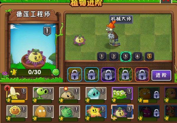 新植物介绍配图4