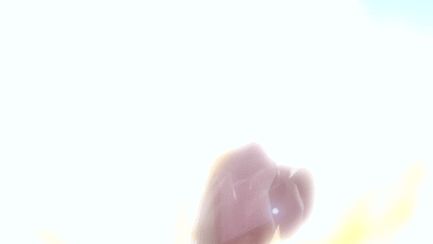 仙境传说RO:守护永恒的爱
