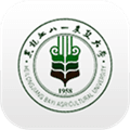 八一农大官方版