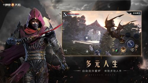新神魔大陆刺客二转