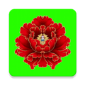 绿植花卉app