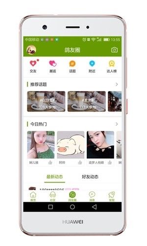 游鸽网2