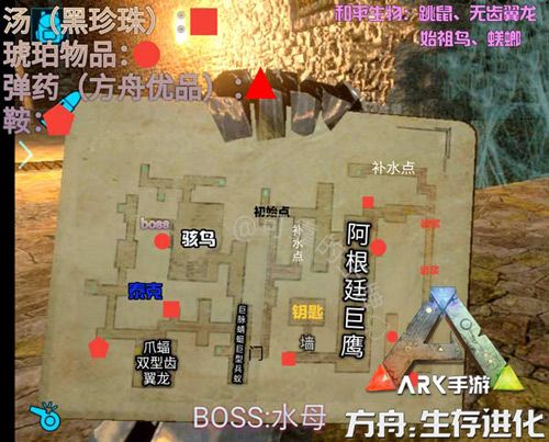 方舟:生存进化