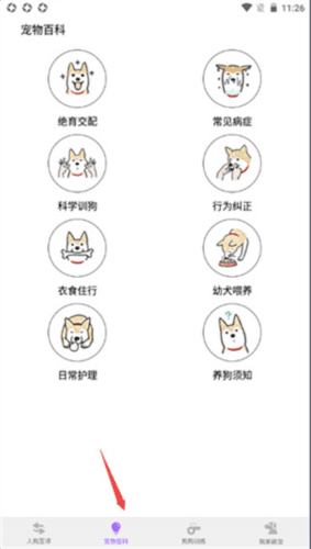 语翻译器app5