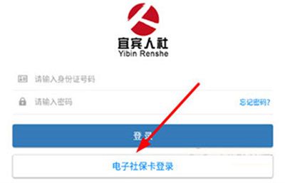 宜宾人社图片4