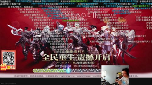 天堂2:血盟2