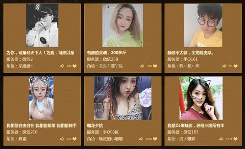三国群英传-霸王之业3