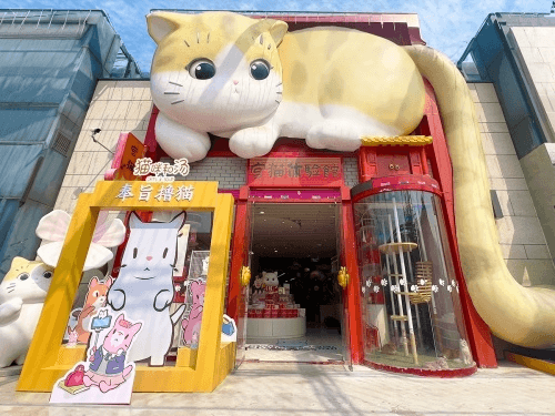 猫咪和汤3