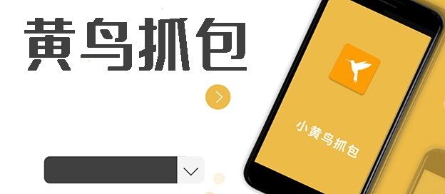 黄鸟抓包