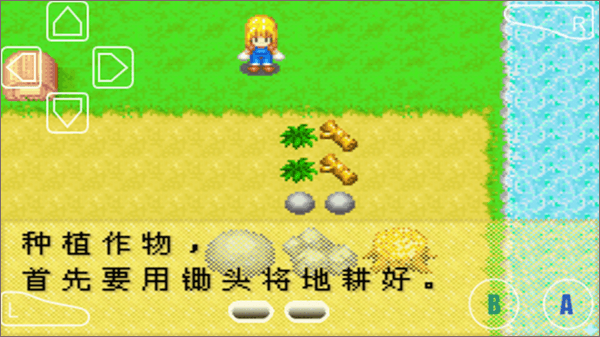 种植教程配图1