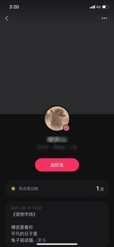可话怎么玩4