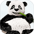 TinyPNG app
