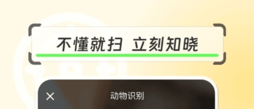拍物轻松识软件宣传图3