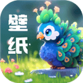 孔雀壁纸app最新版