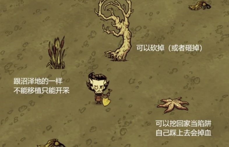 饥荒月岛海滩和浴场中有什么 饥荒月岛海滩和浴场中有什么