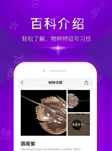 问鱼app1