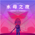 水母之夜