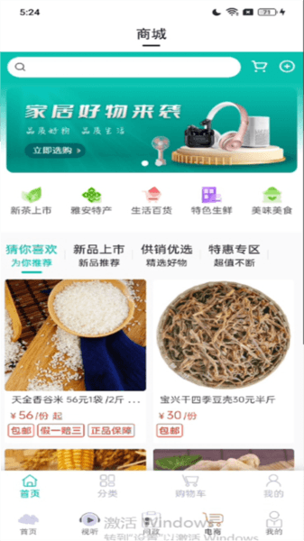 云小雅图片