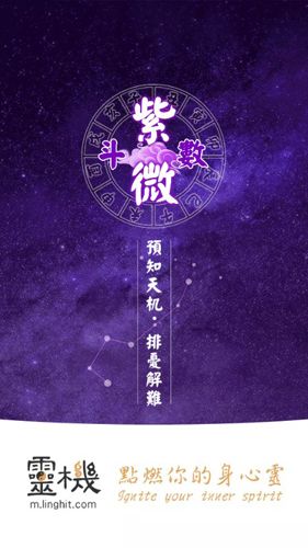 灵动紫微斗数手机版图片1