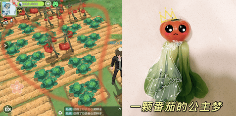 小森生活8