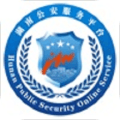 湖南公安交警公共服务平台app