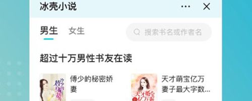 冰壳小说app软件亮点