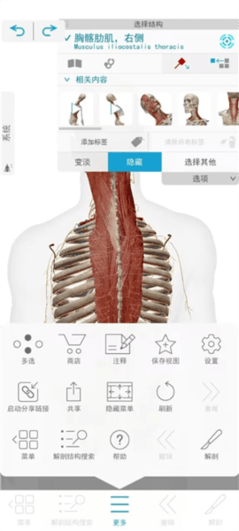 解剖和生理学软件截图8