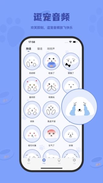 小白交流翻译app12