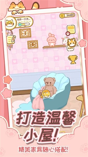 领养一只流浪猫宣传图
