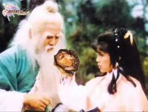 神明秩序·幻域神姬 3