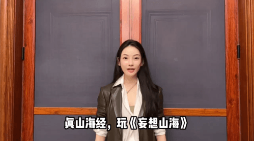 妄想山海2