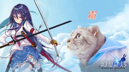 幻想计划12