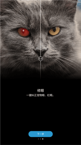 photoshopvip会员解锁版图片4