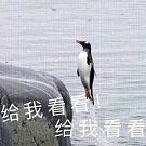 全民摆摊时代,带上你的兄弟来《盛世遮天》摆摊吧! 全民摆摊时代,带上你的兄弟来《盛世遮天》摆摊吧!