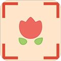 拍照识图君app