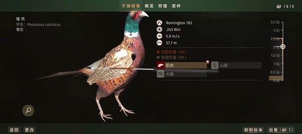 新手教程配图5