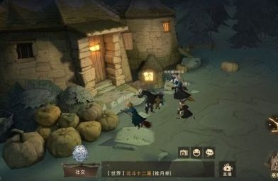 哈利波特魔法觉醒第十一天2