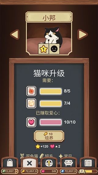 绒毛猫咖啡厅游戏截图16