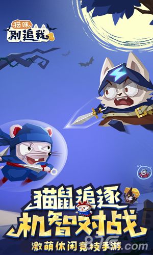 猫咪别追我什么时候出