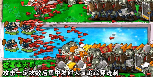 植物介绍配图24