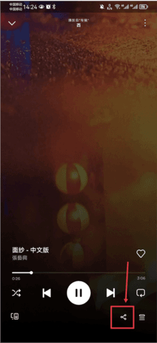 Spotify3