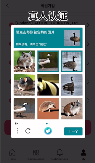 怎么投票配图5