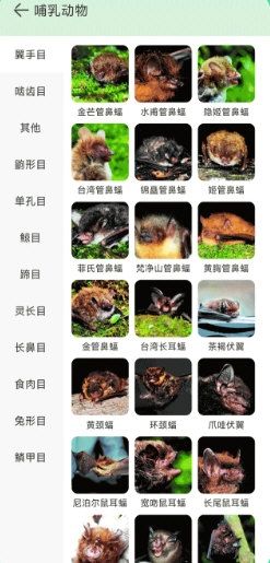 动物百科6