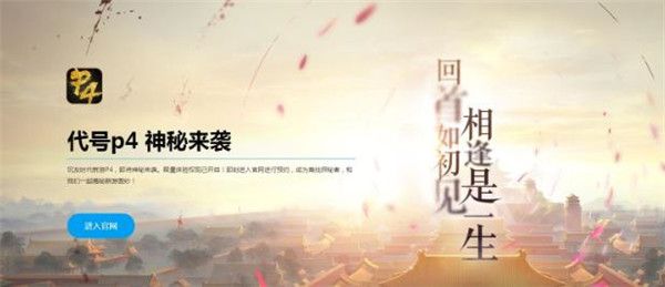 代号p4 图片2