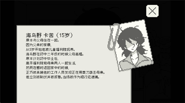 海鸟野卡苦的精神鉴定录宣传图