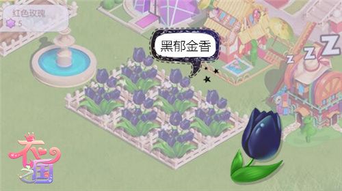 衣之国