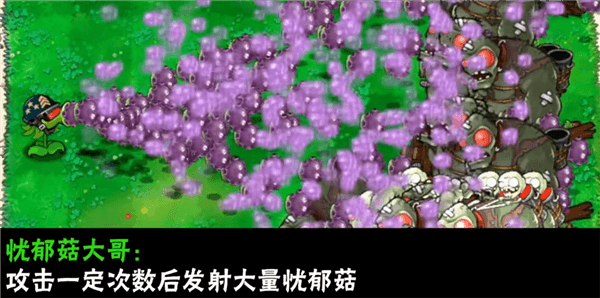 植物介绍配图23