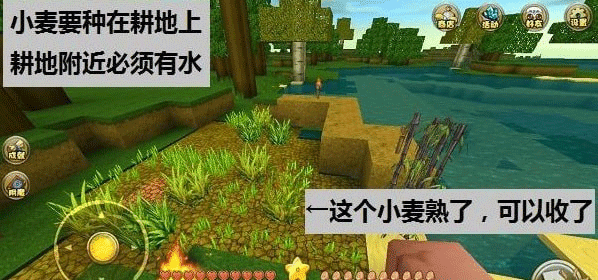 迷你世界搜狗手机助手最新版游戏攻略7