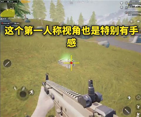 画质MxPro正版11