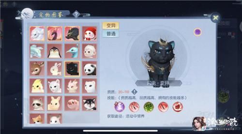 浮生为卿歌4